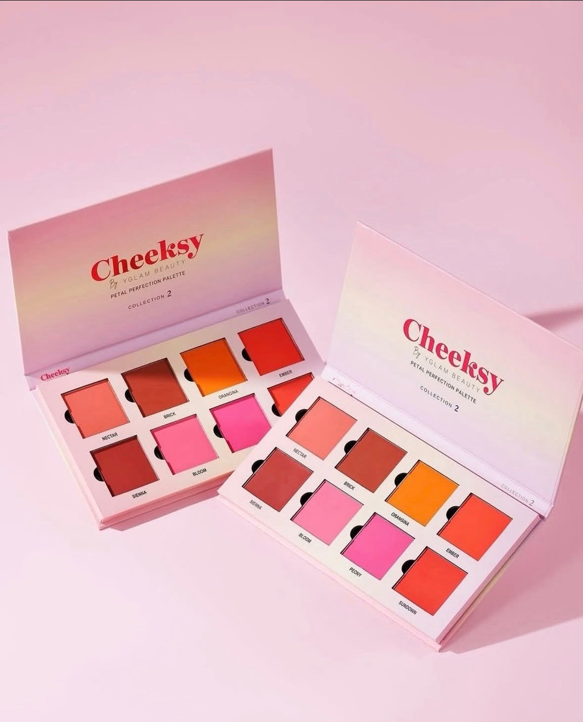 Yglam Beauty Cheeksy Blush Palette
